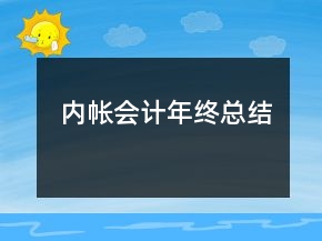 內(nèi)帳會計年終總結(jié)