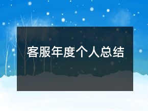 客服年度個(gè)人總結(jié)