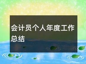 會計員個人年度工作總結(jié)