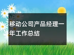 移動(dòng)公司產(chǎn)品經(jīng)理一年工作總結(jié)