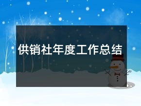 供銷社年度工作總結(jié)