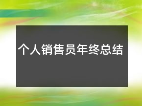 個(gè)人銷(xiāo)售員年終總結(jié)