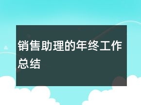銷售助理的年終工作總結(jié)