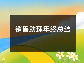 銷售助理年終總結(jié)