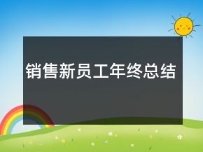 銷售新員工年終總結(jié)