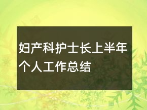婦產(chǎn)科護(hù)士長上半年個人工作總結(jié)