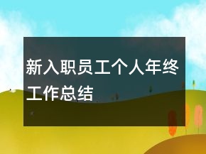 新入職員工個(gè)人年終工作總結(jié)