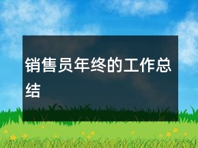 銷售員年終的工作總結(jié)