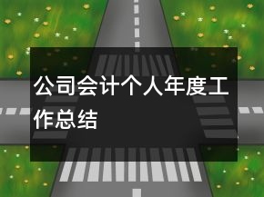 公司會計個人年度工作總結(jié)
