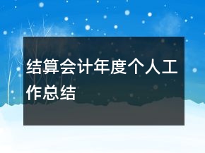 結算會計年度個人工作總結