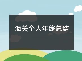 海關(guān)個(gè)人年終總結(jié)