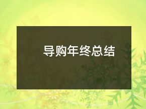 導購年終總結