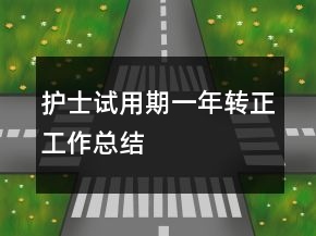 護(hù)士試用期一年轉(zhuǎn)正工作總結(jié)