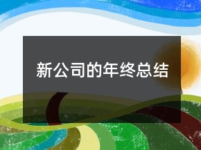 新公司的年終總結(jié)