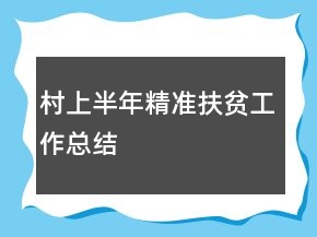村上半年精準扶貧工作總結(jié)