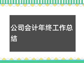 公司會(huì)計(jì)年終工作總結(jié)