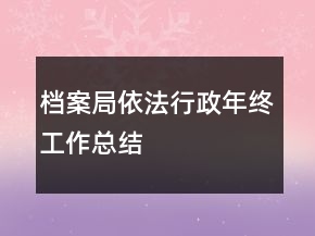 檔案局依法行政年終工作總結(jié)