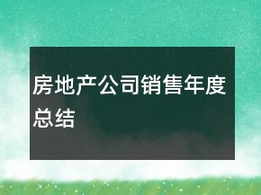 房地產(chǎn)公司銷售年度總結(jié)