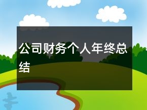 公司財務(wù)個人年終總結(jié)