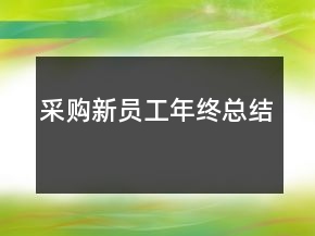 采購(gòu)新員工年終總結(jié)