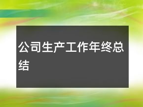 公司生產(chǎn)工作年終總結(jié)