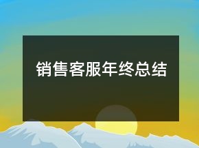 銷售客服年終總結(jié)