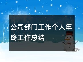 公司部門工作個人年終工作總結(jié)