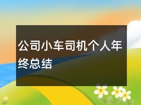公司小車司機個人年終總結(jié)