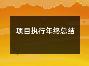 項(xiàng)目執(zhí)行年終總結(jié)