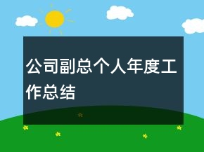 公司副總個(gè)人年度工作總結(jié)