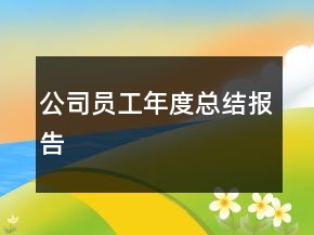 公司員工年度總結(jié)報告