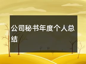 公司秘書年度個(gè)人總結(jié)