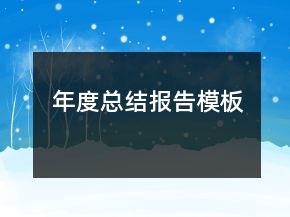 年度總結(jié)報告模板