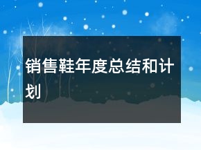 銷售鞋年度總結和計劃