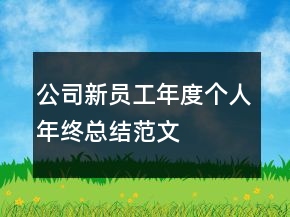 公司新員工年度個人年終總結(jié)范文