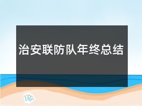 治安聯(lián)防隊年終總結(jié)