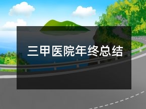 三甲醫(yī)院年終總結(jié)