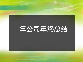 年公司年終總結(jié)