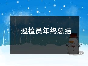 巡檢員年終總結(jié)