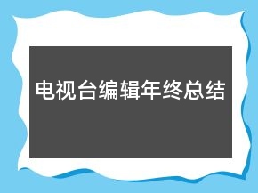 電視臺編輯年終總結