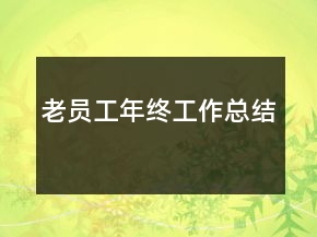 老員工年終工作總結(jié)