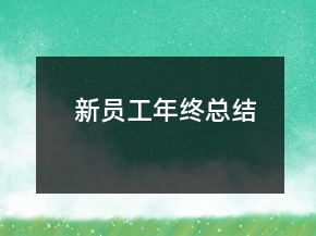 新員工年終總結(jié)