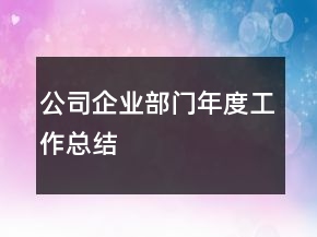公司企業(yè)部門年度工作總結(jié)