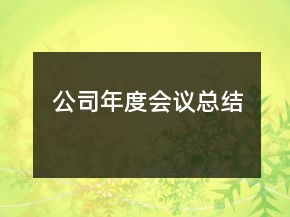 公司年度會(huì)議總結(jié)