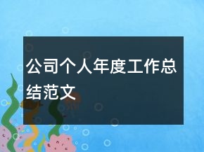 公司個(gè)人年度工作總結(jié)范文