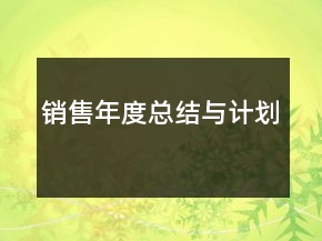 銷售年度總結與計劃