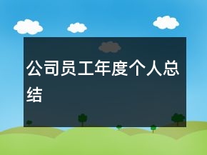公司員工年度個人總結(jié)