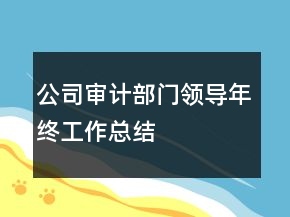 公司審計(jì)部門領(lǐng)導(dǎo)年終工作總結(jié)