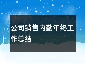 公司銷售內(nèi)勤年終工作總結(jié)