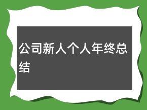 公司新人個人年終總結(jié)